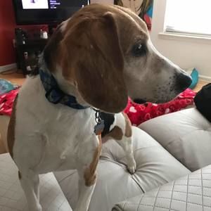 Meet your Posher, Lina